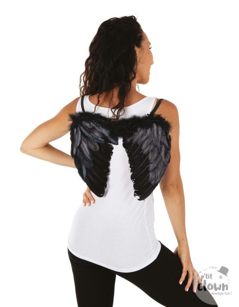 ailes à plumes noires petites